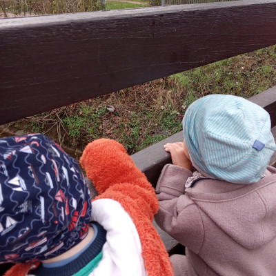 Wo sind die Enten heute? Wo sind die Enten heute?