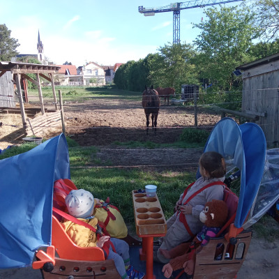 Besuch bei den Pferden Besuch bei den Pferden