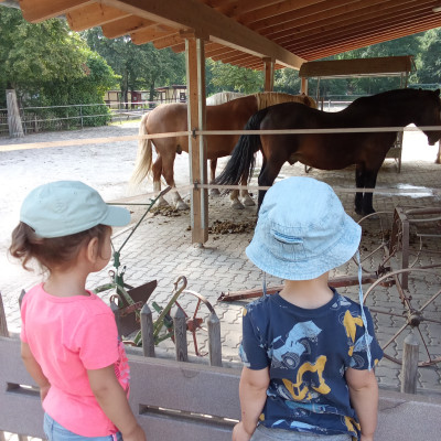 Ausflug in den Tierpark Ausflug in den Tierpark