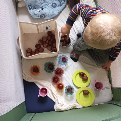 Kastaniensortierung! Kastaniensortierung!